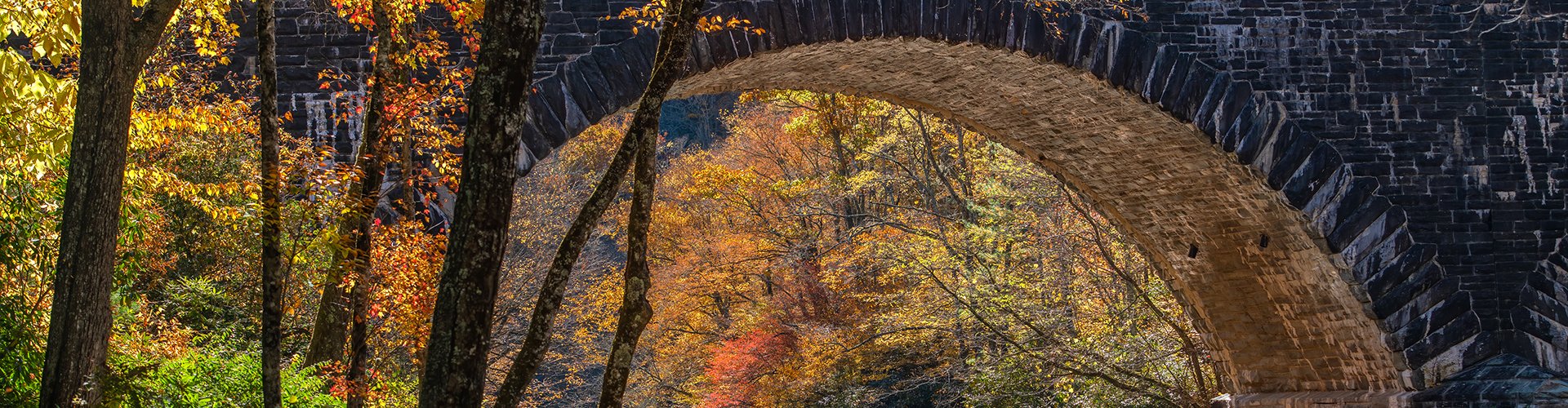 Fall color at the Linville Falls Picnic Area