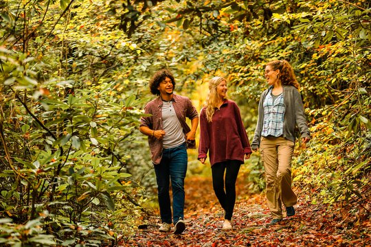 Hiking in McDowell County