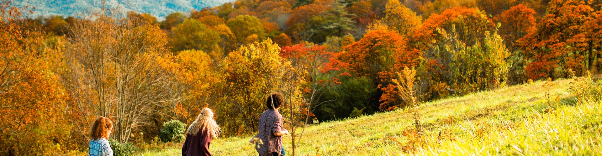 fall-color-hike-in-mcdowell-county.jpg