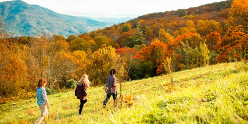 fall-color-hike-in-mcdowell-county.jpg