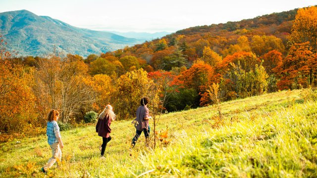 fall-color-hike-in-mcdowell-county.jpg