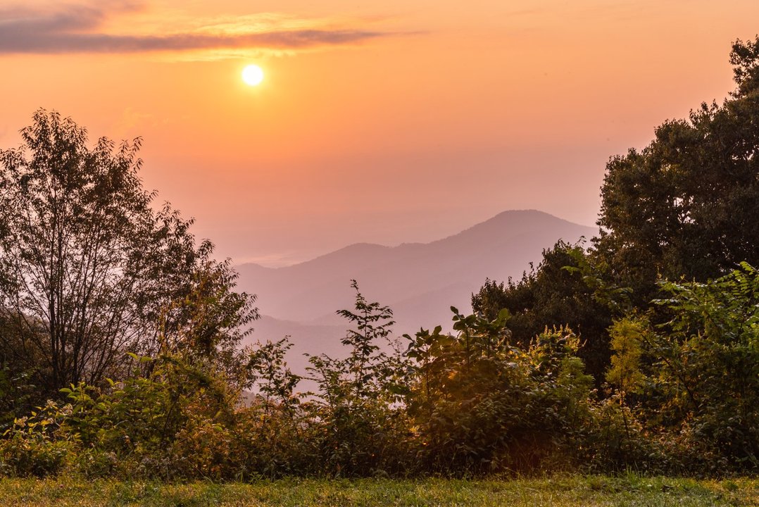 1080 - 2026-03-17T205432.811.jpg