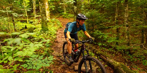 fallmtb