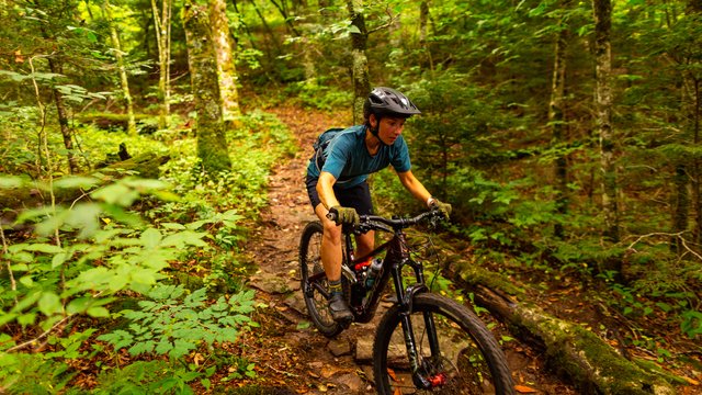 fallmtb