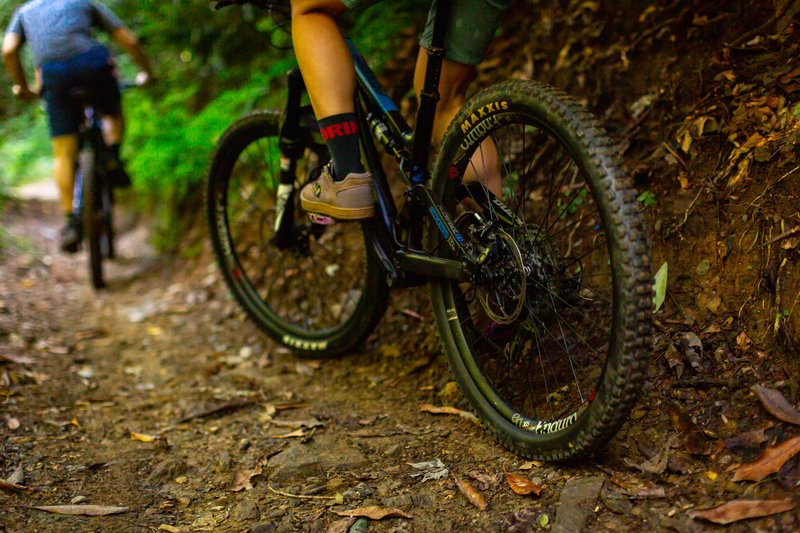 fallmtb2