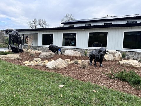 Roaming Buffalo Outpost