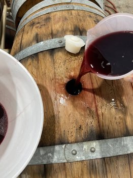 Barrel Tasting.jpg
