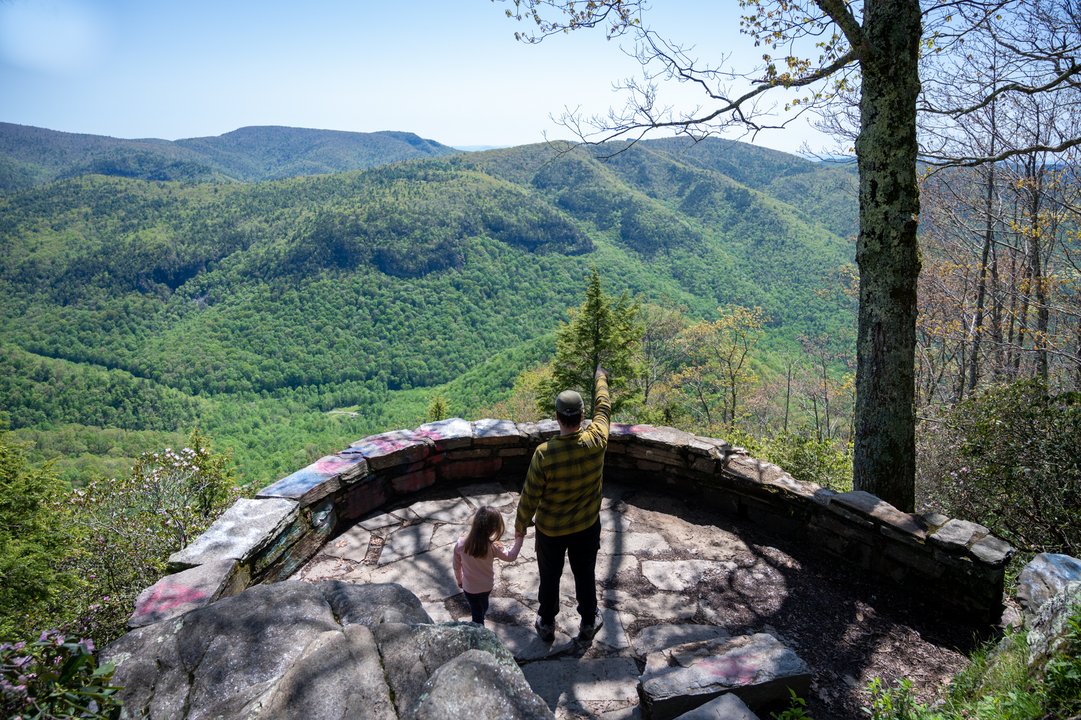 Chestoa View