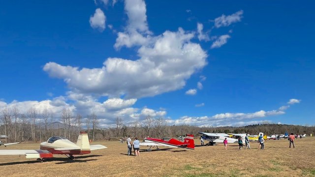 shifletfly1