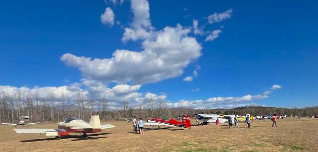 shifletfly1