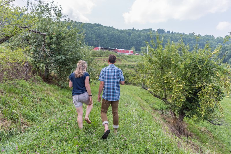 orchard at altapass