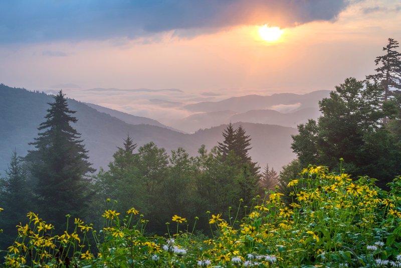 blue ridge parkway view