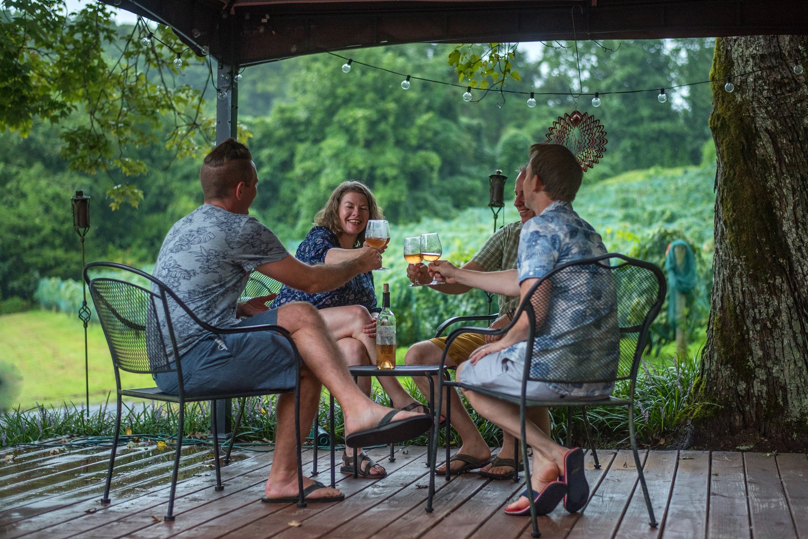 South Creek Winery group