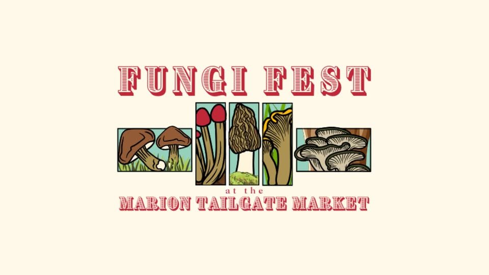 Fungi Fest.jpg