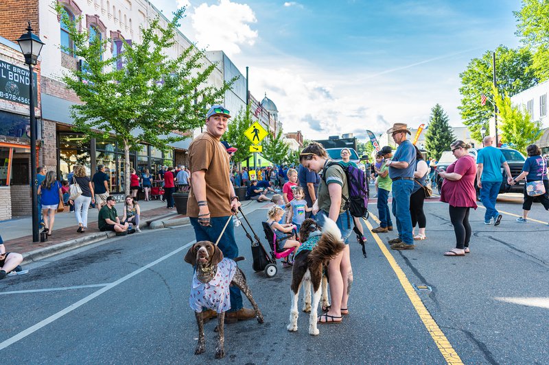 Dogs in downtown Marion