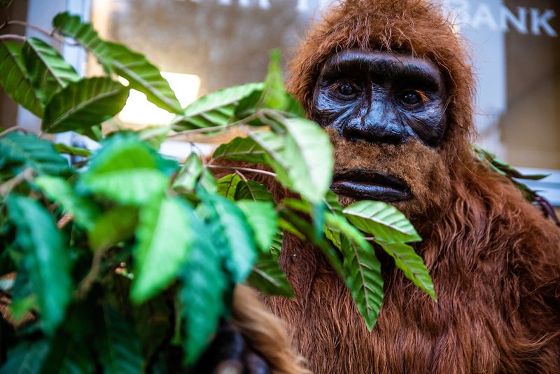 Bigfoot Festival in Downtown Marion.jpg