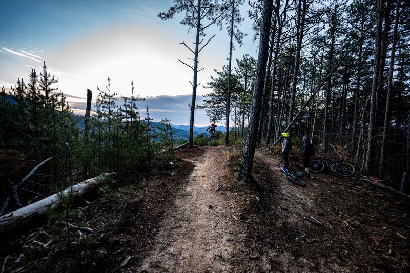 *Photo Credit: Hey Old Friend on Instagram.