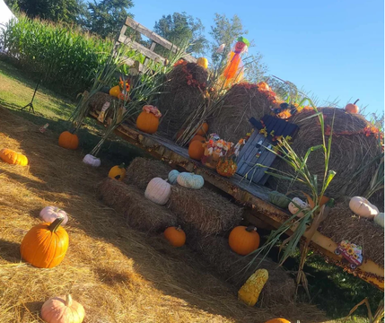 McKinney Farm Harvest.png