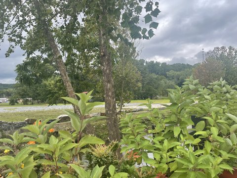 Catawba Avenue Creekside