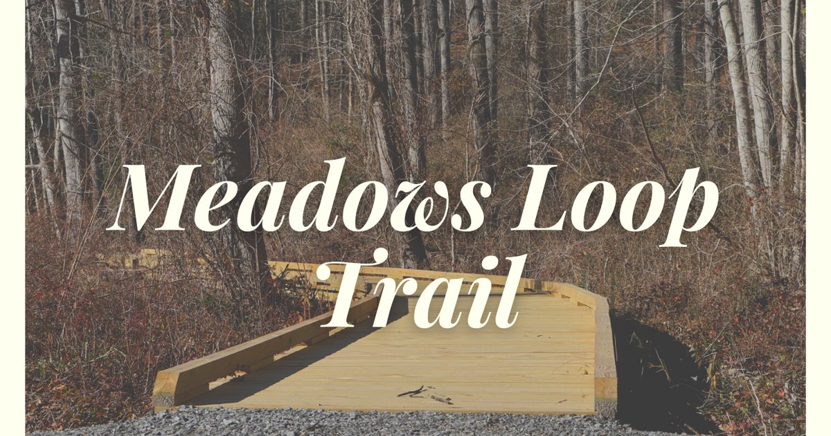 Senator Meadows Loop Trail of the Month: Meadows Loop Trail | Destination McDowell
