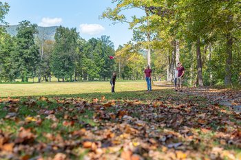 North Cove Social Club Fall.jpg