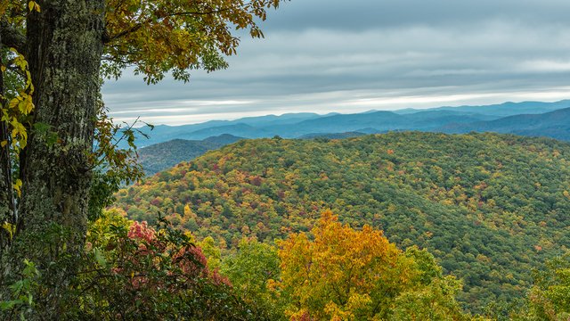 earlyfall
