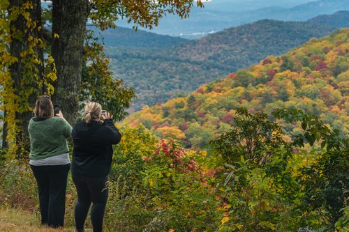 Fall leaf lookers