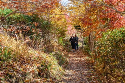McDowell fall hikes