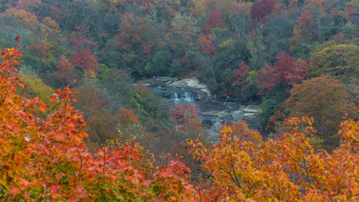 Graveyard Fields in the fall