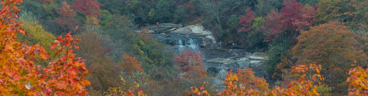 Graveyard Fields in the fall