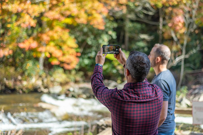 fall color in the blue ridge mountains.jpg