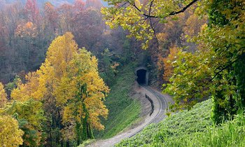 Point Lookout Fall Tunnel