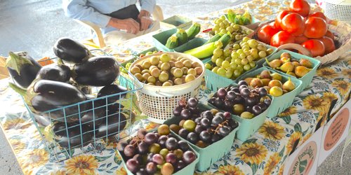 marion tailgate market