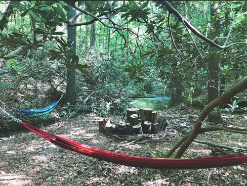 Tamarca Hollow2.jpeg