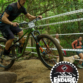 Untitled design (94).png