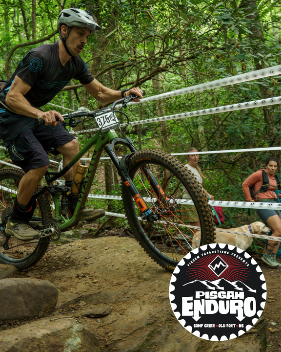 Untitled design (94).png