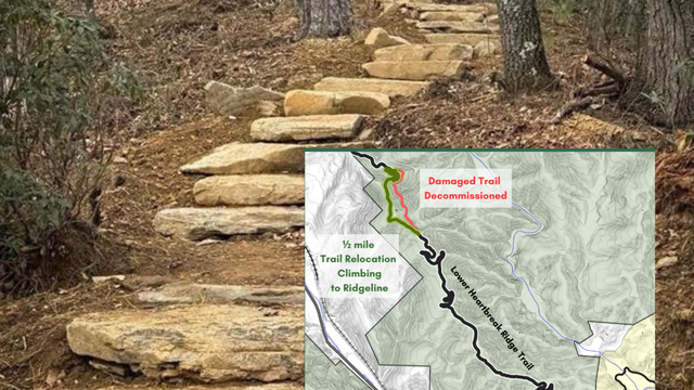 Untitled design (95).png