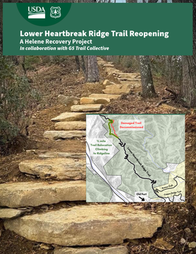 Untitled design (95).png