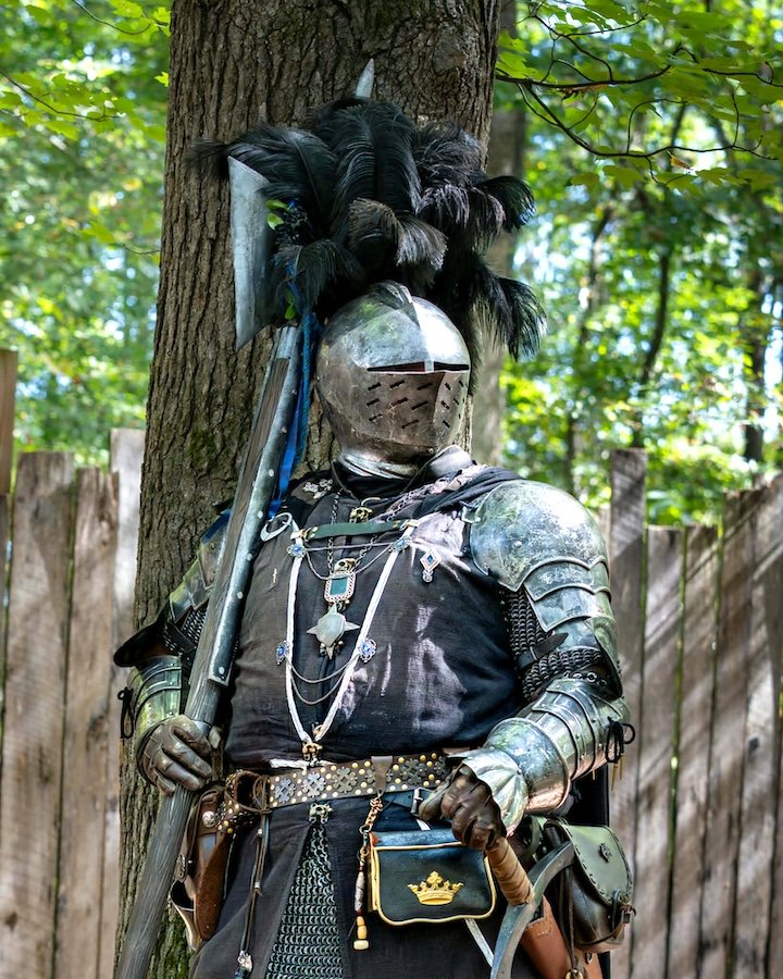 WNC-Ren-Faire-Knight.jpeg