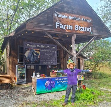 purple buffalo farms