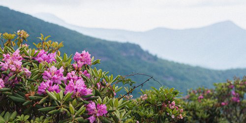 Blue Ridge Parkway photo by Andrew James