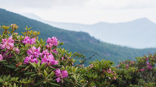 Blue Ridge Parkway photo by Andrew James