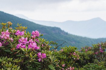Blue Ridge Parkway photo by Andrew James
