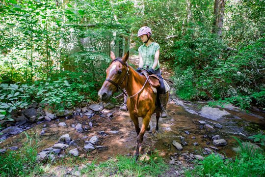 Horse Riding at The Equestrian Center of Camp Grier