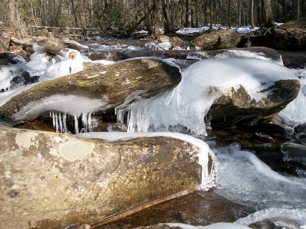 curtiscreekwinter2010