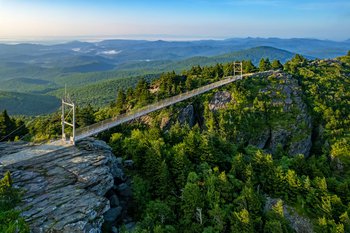 tlb_081321_0386_Credit Todd Bush Grandfather Mountain Stewardship Foundation.jpg