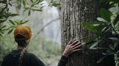 Approaching the upper falls of Catawba will be a new experience for all. Photo Credit: Brandon Thrower