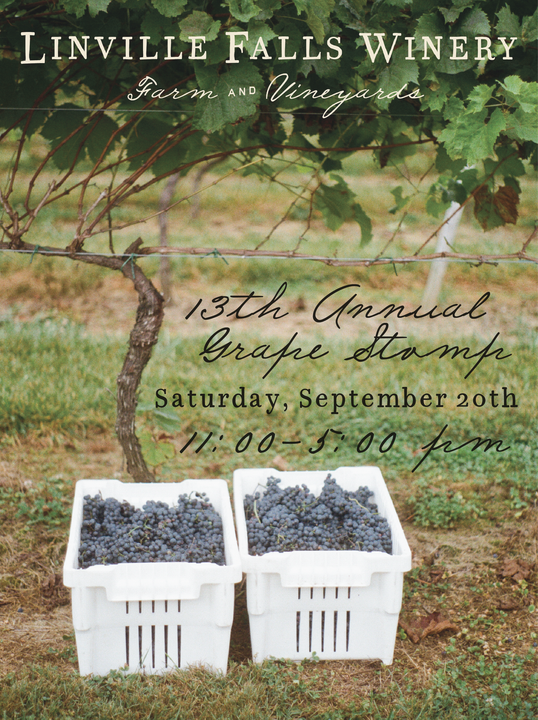 yodel_13th Annual Grape Stomp!