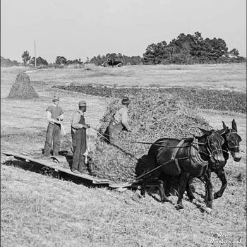 yodel_Artist Reception - Where the Land Remembers: Farming in Old Fort — Arrowhead Gallery & Studios