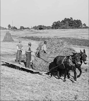yodel_Artist Reception - Where the Land Remembers: Farming in Old Fort — Arrowhead Gallery & Studios